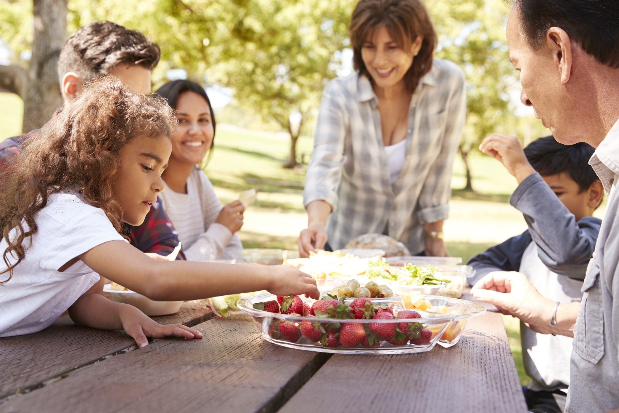 family at picnic